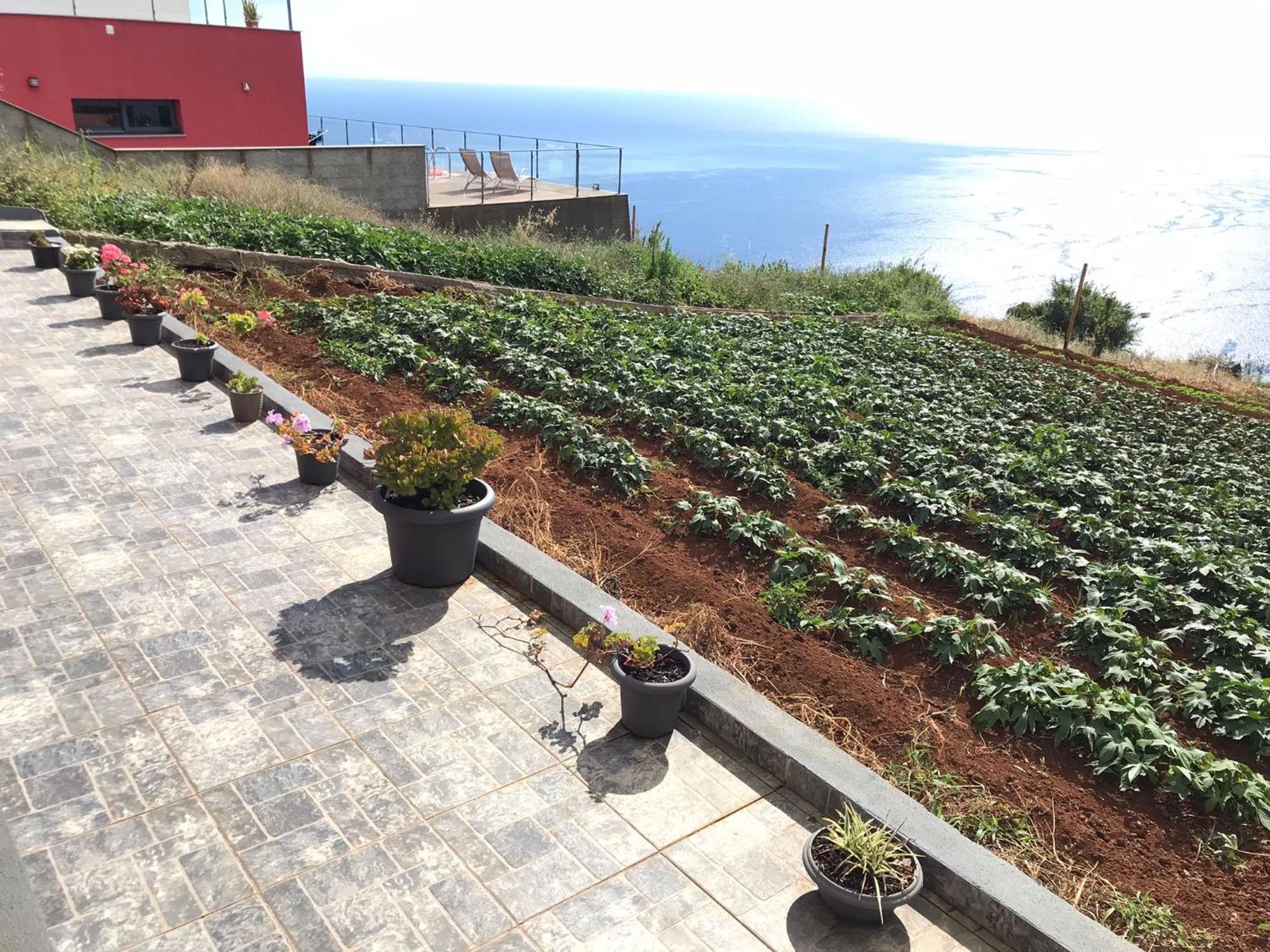Villa Palheirinho Da Achada Arco da Calheta  Exterior foto